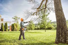 How Our Tree Care Process Works  in  Crooksville, OH